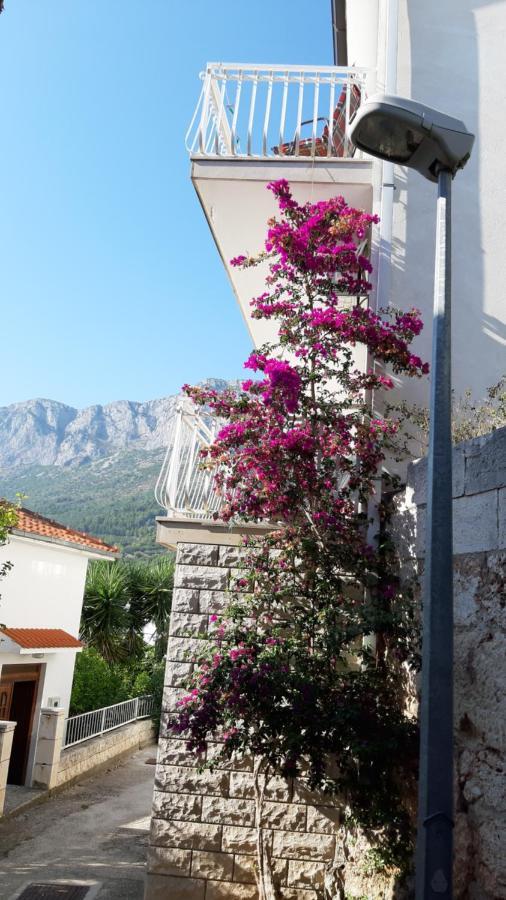 Apartmani Lara Gradac  Exteriér fotografie