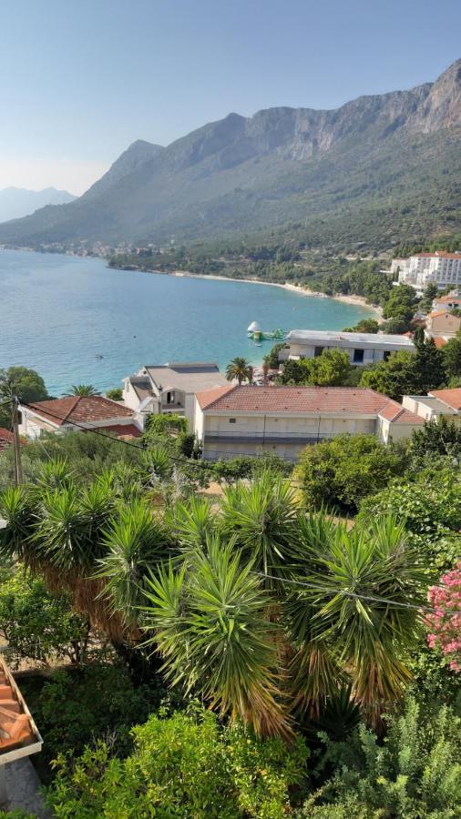 Apartmani Lara Gradac  Exteriér fotografie