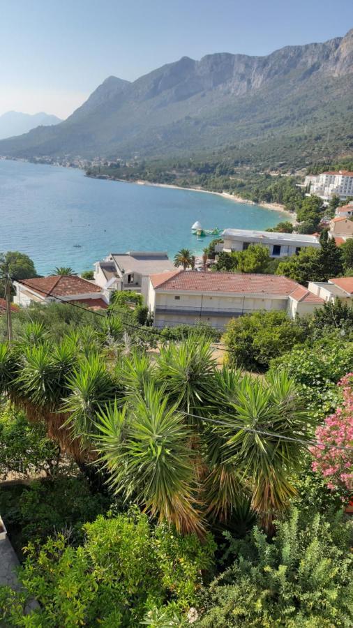 Apartmani Lara Gradac  Exteriér fotografie
